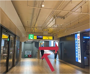 Tサイト店への道のり